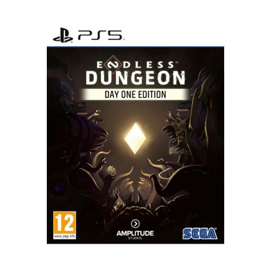 Picture of PS5 Endless Dungeon - Day One Edition